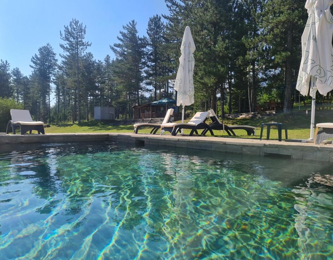 Pirin Golf Apartment Home With Private Garden 班斯科 外观 照片